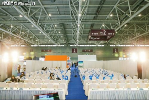 2021深圳電商展 引領(lǐng)數(shù)字化新潮流，彰顯會(huì)展服務(wù)新高度